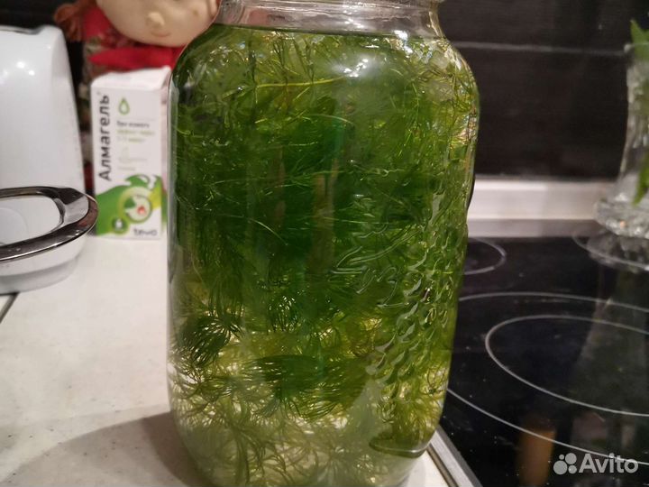 Роголистник для аквариума