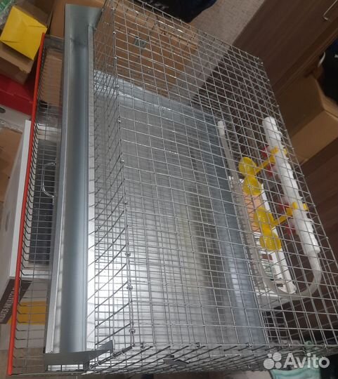 Клетка для перепелов, цыплят