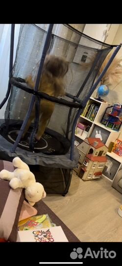 Батут 100 см б/у с сеткой