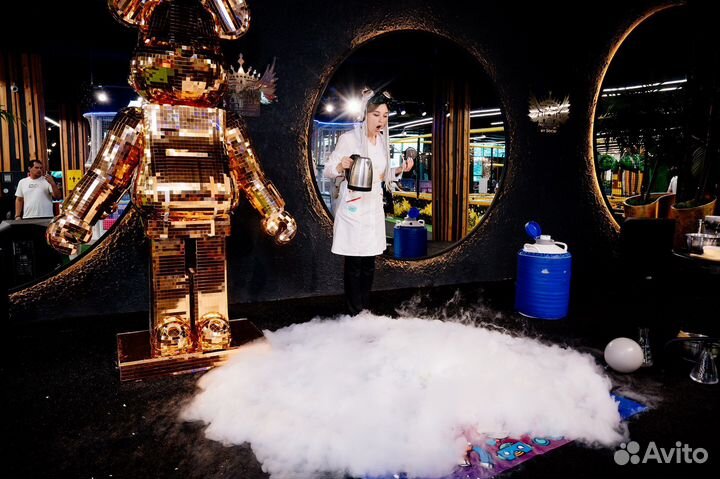 Научное шоу, сладкая вата, Слаймы, фокусник