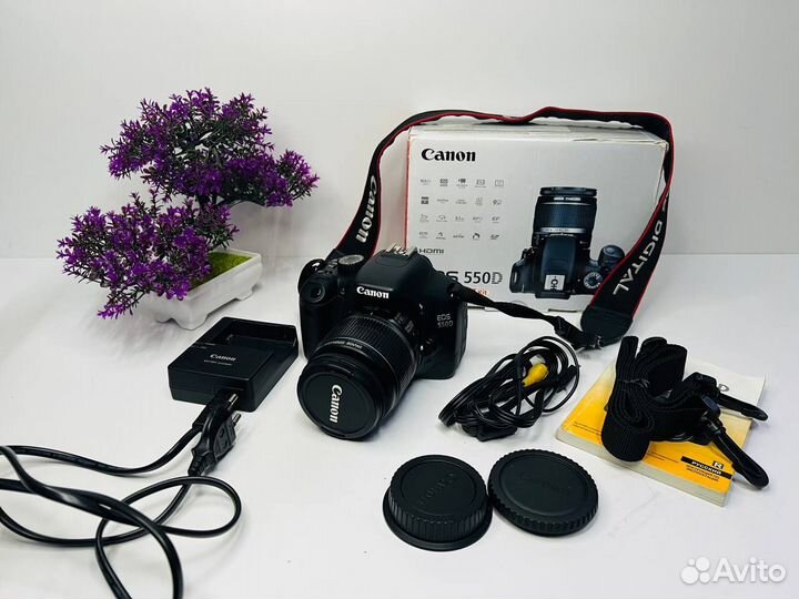 Фотоаппарат Canon EOS 550D/Объектив EF-S 18-55mm
