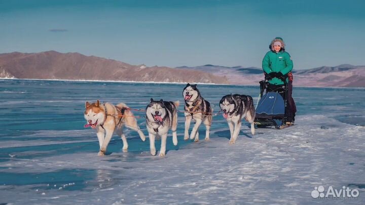 Тур на Байкал с детьми