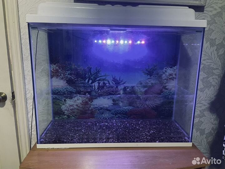 Аквариум
