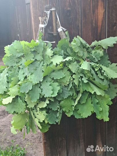 Дубовые банные веники