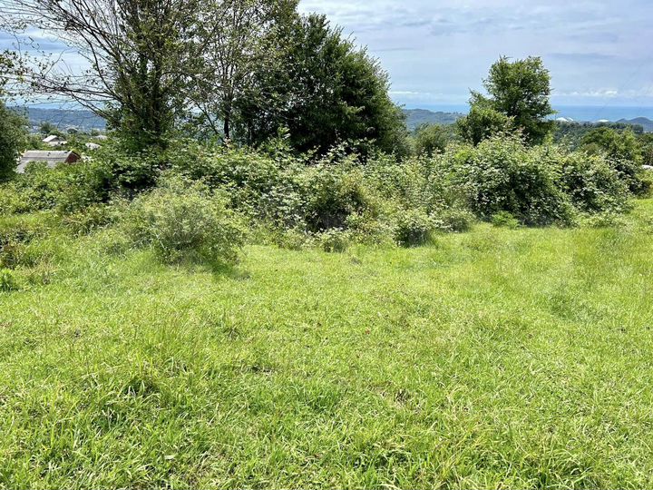 Участок 6 сот. (ИЖС)