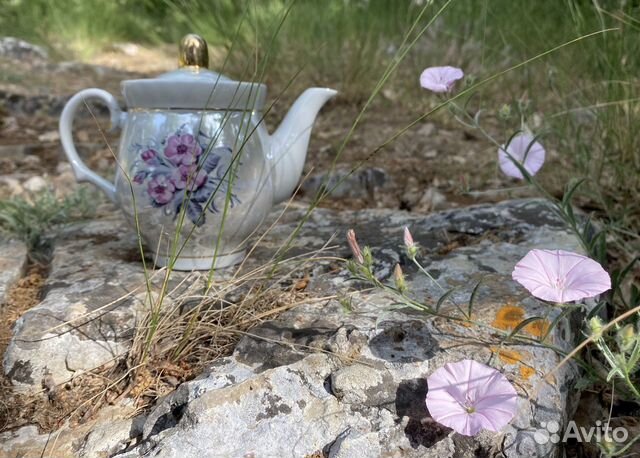 Заварочный чайник СССР