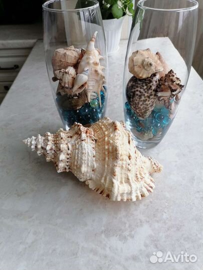 Вазы с ракушками