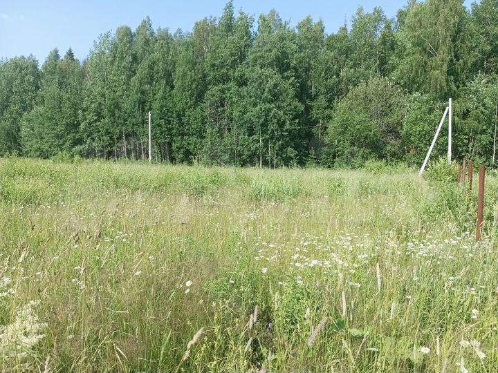 Участок 14 сот. (СНТ, ДНП)