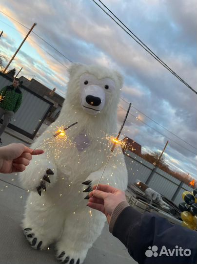 Мишки аниматоры 2,5метра. Праздники.Поздравления