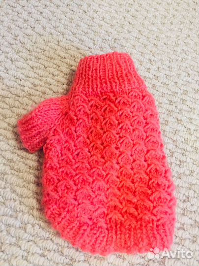 Одежда для маленьких пород собак