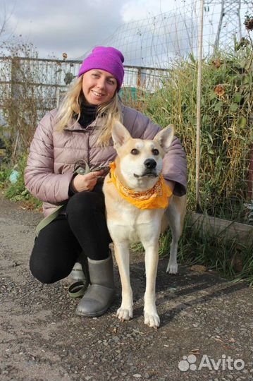 Ждёт свою семью