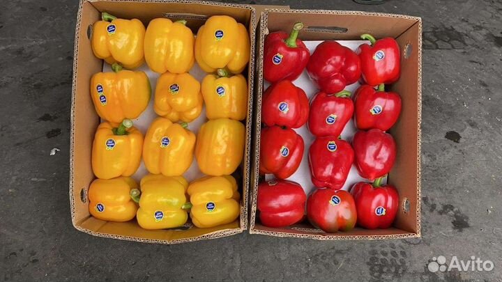 Овощи фрукты