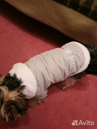 Курточка на собачку р.М