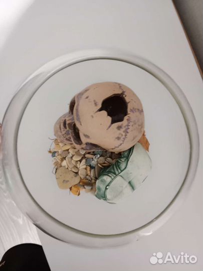 Аквариум для рыб