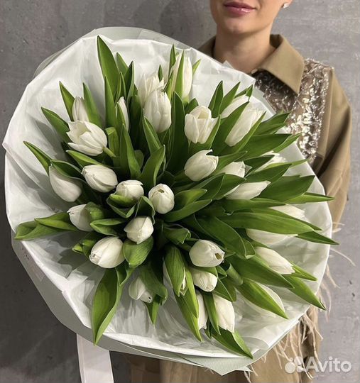 Цветы тюльпаны