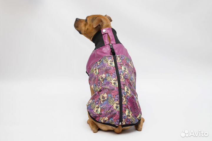 Жилетка для собак