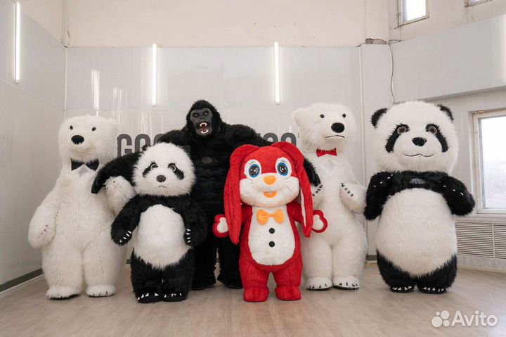 Аниматор,ростовые куклы,Белый мишка, панда, Кинг