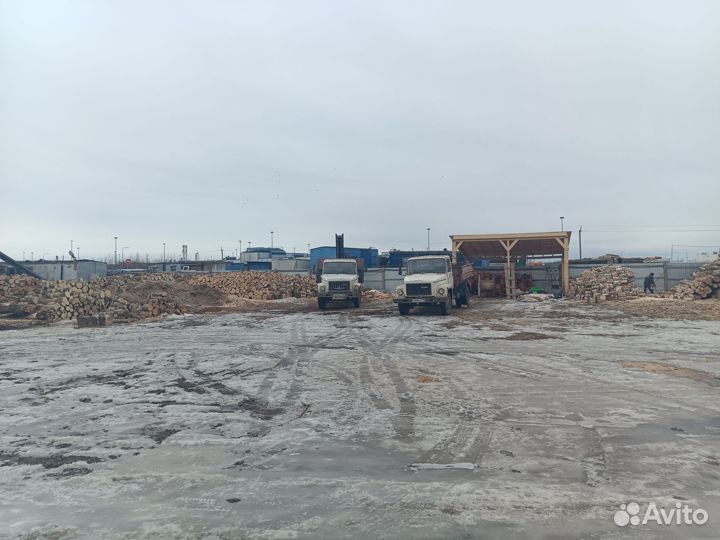 Дрова ольховые от 3м3