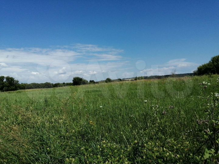 Участок 25 сот. (ИЖС)