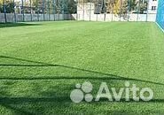 Рулонный газон