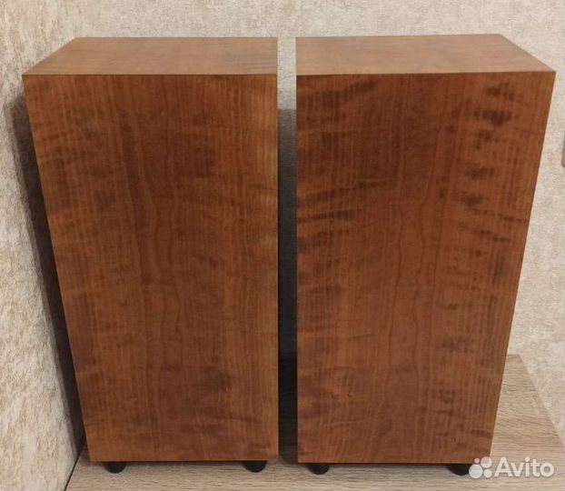 Avalon Monitor (Made in USA)