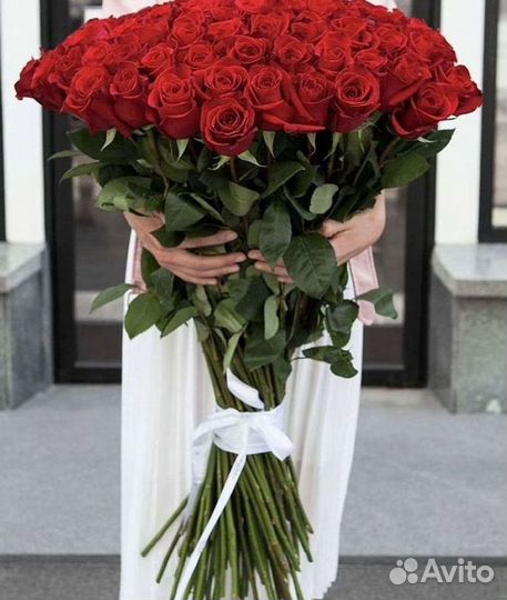 Розы Букеты Цветы Розы 31 101 151 201 Доставка