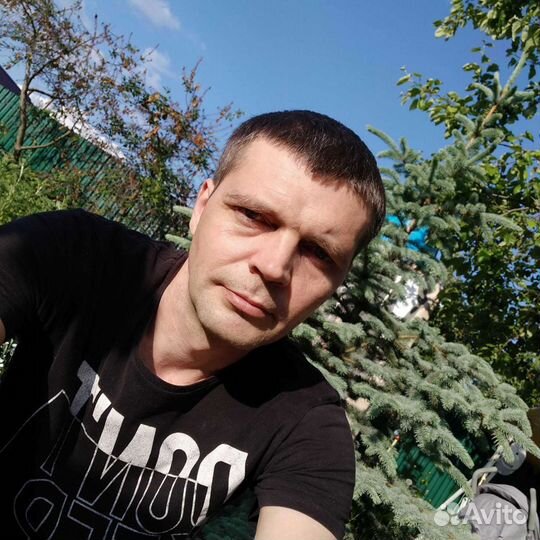 Системный администратор