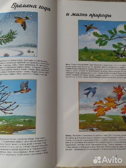 Две энциклопедии