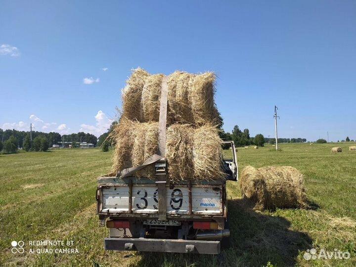 Сено в рулонах