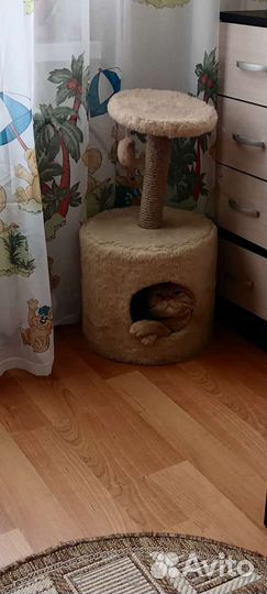 Домик для кошки с когтеточкой