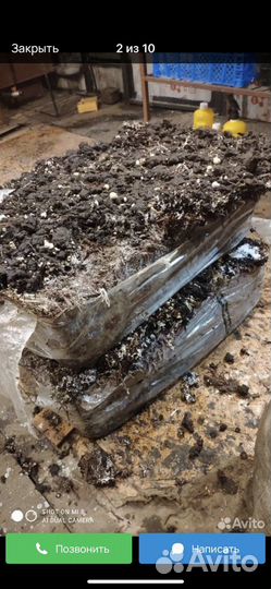 Отработаные грибные блоки