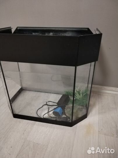 Аквариум
