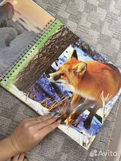 Книги для детей