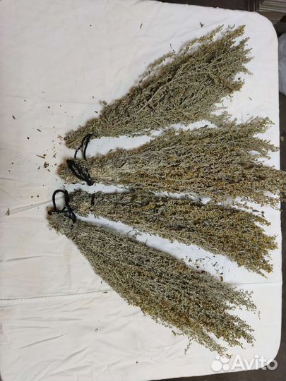 Веники для бани дубовые