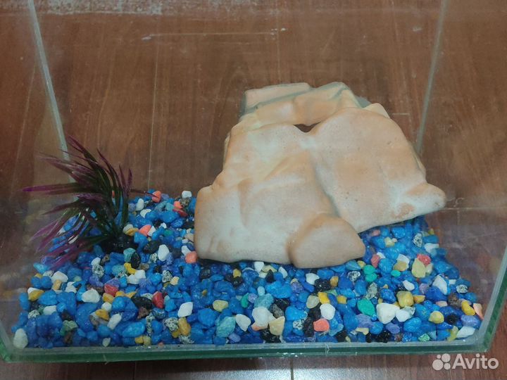 Аквариум