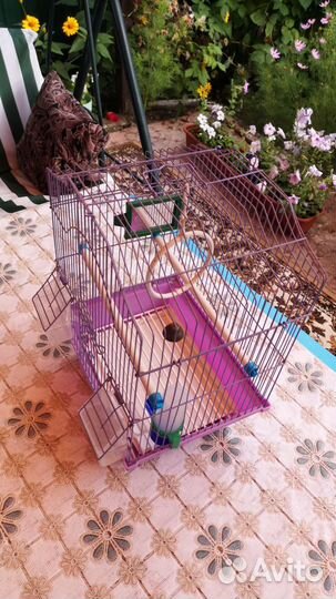 Клетка для попугаев