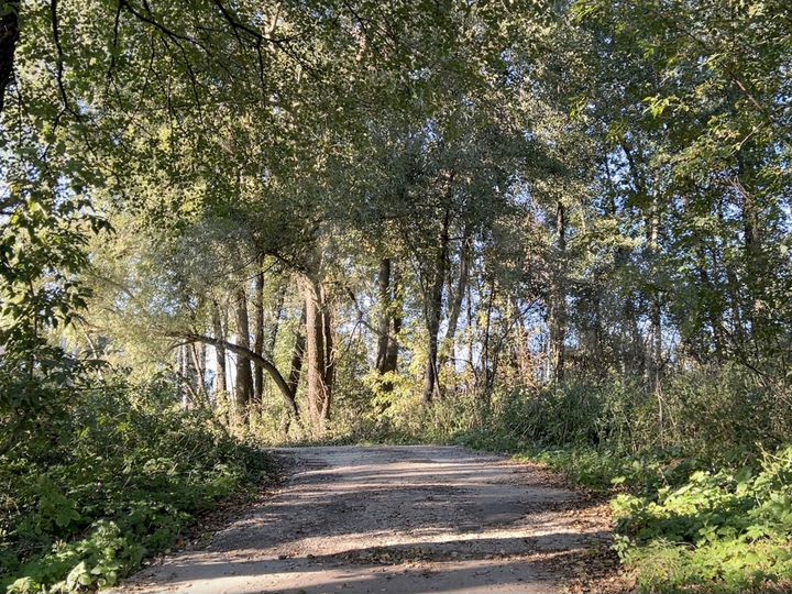 Участок 40 сот. (ИЖС)