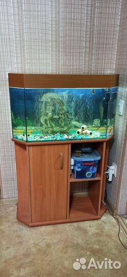 Аквариум с тумбой 120 лит