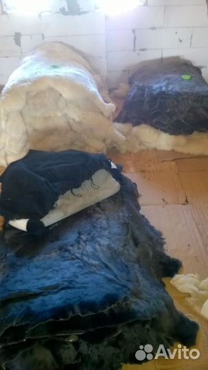 Шкуры овчина