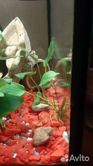 Украшение для аквариума