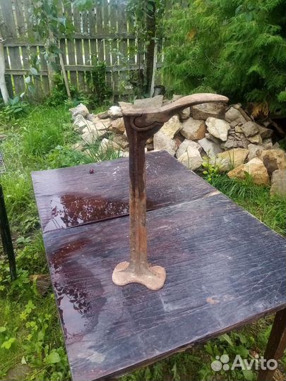 Лапа сапожная