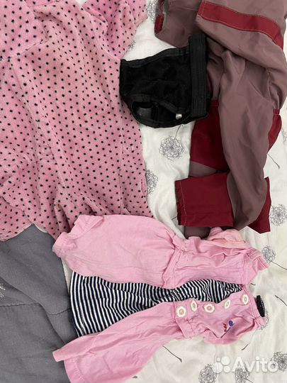 Одежда для маленьких собак