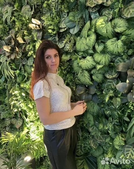 Фитостена / озеленение ресторана