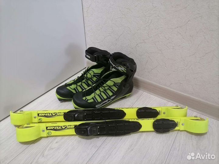 Лыжероллеры