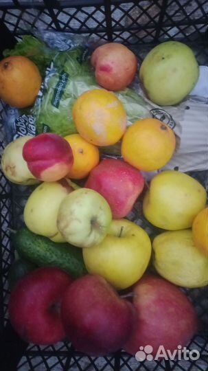 Овощи фрукты