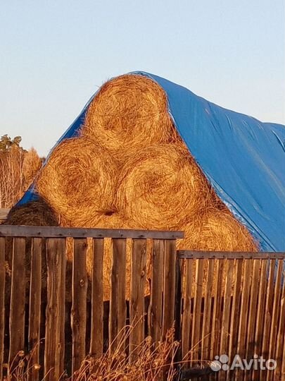 Сено в рулонах