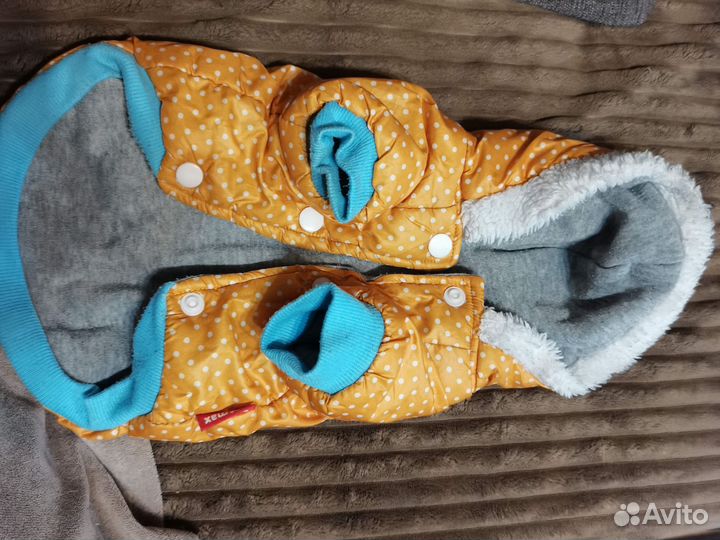 Одежда для маленьких собак б/у