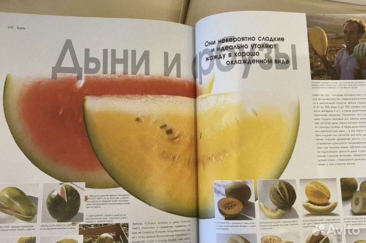 Книга весь мир продуктов