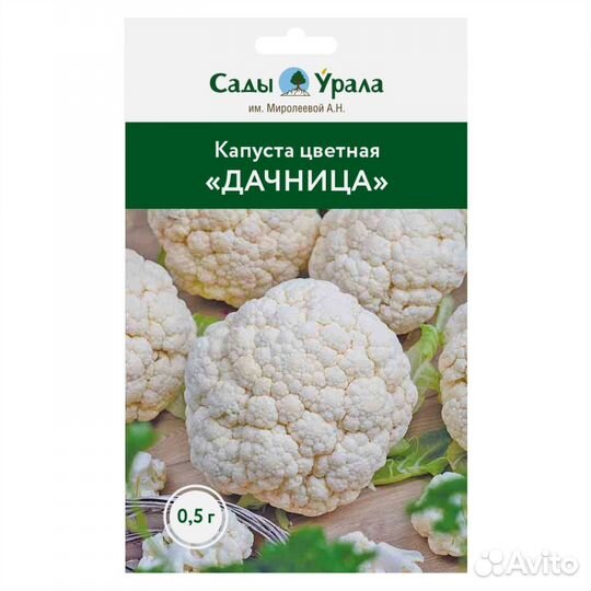 Капуста цветная «Дачница» - семена