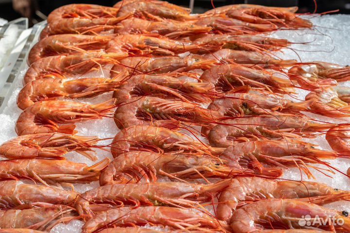 Лангустины L2 крупные. Аргентина